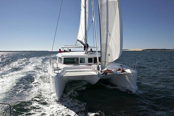 Small Private Catamaran Sunset Tours in San Diego - What Makes This Experience Stand Out