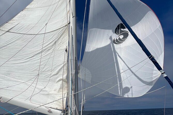 Small Private Catamaran Sunset Tours in San Diego - The Bottom Line: Who Would Love This Tour?