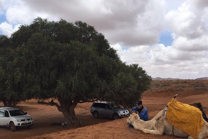 SMALL SAHARA & SILVER CITY- MASSA & TIZNIT IN 4x4 WITH LUNCH IN BERBER STYLE - Authentic Experiences and Practical Details