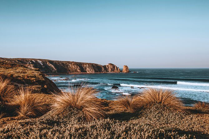 Small Tour (8 ppl) Phillip Island Hike & Penguin Parade Day Tour - The Sum Up