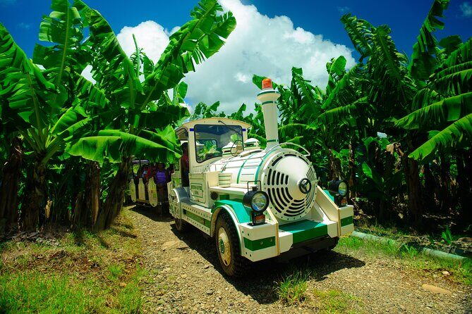 Small train tour of a banana farm in Martinique - What is the Small Train Tour of a Banana Farm?