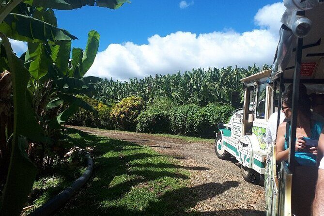 Small train tour of a banana farm in Martinique - What to Expect During the Itinerary