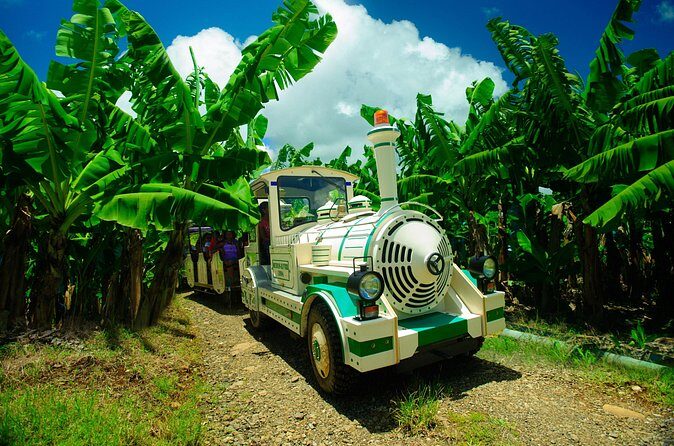 Small train tour of a banana farm in Martinique - The Sum Up