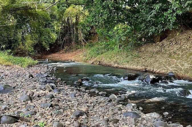 Small train tour of a banana farm in Martinique - FAQ