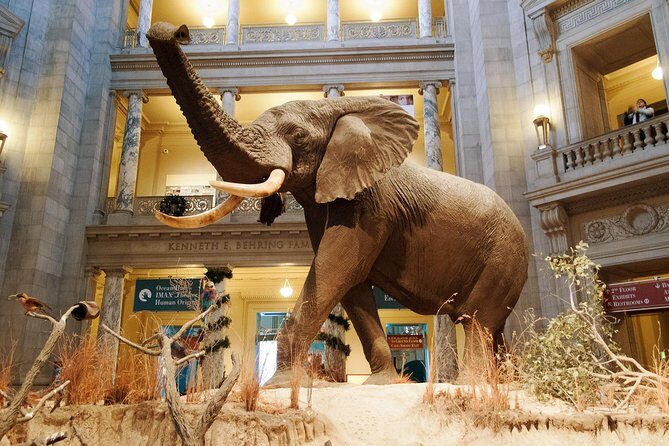 Smithsonian Museum of Natural History - Exclusive Guided Tour - Why This Tour Is Worth Your Time