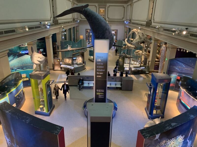 Smithsonian National Museum of Natural History Guided Tour - The Itinerary in Detail
