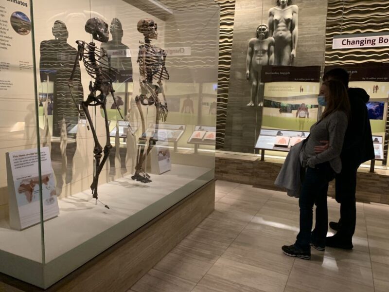 Smithsonian National Museum of Natural History Guided Tour - The Value of a Guided Tour at the Smithsonian