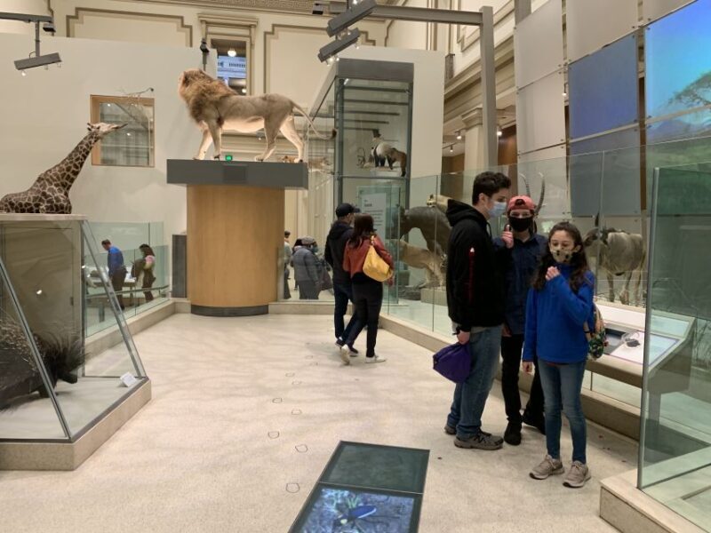 Smithsonian National Museum of Natural History Guided Tour - Practical Tips for Your Visit