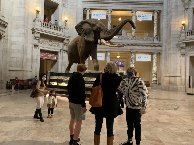 Smithsonian National Museum of Natural History Guided Tour - The Sum Up