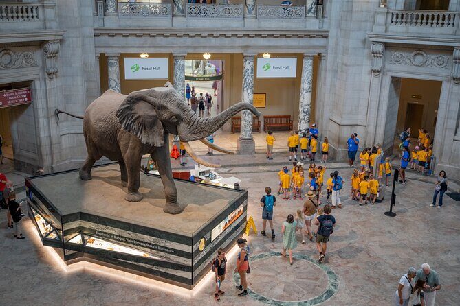 Smithsonian Natural History Museum Semi-Private Guided Tour - Introduction
