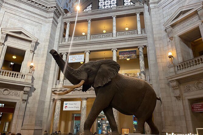 Smithsonian Natural History Museum Semi-Private Guided Tour - Detailed Review of the Smithsonian Natural History Museum Semi-Private Guided Tour