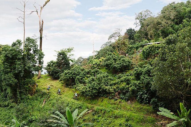Smoke on the Water Trail Mountain Biking Tour Chiang Mai - Pricing and Value