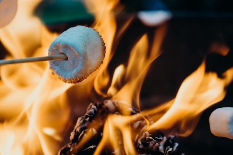 Smokies, Fire-Roasted S'mores and Fall Fun at Kelowna Winery - Value Analysis: Is It Worth the Price?