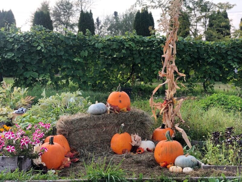 Smokies, Fire-Roasted S'mores and Fall Fun at Kelowna Winery - Who Will Love This Experience?
