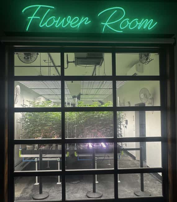Smoky Mountain Cannabis THC Dispensary Tour & Jeep Adventure - Key Points