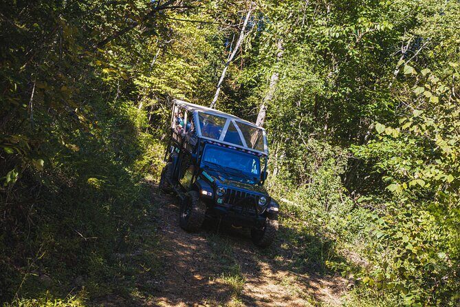 Smoky Mountains Newfound Gap Jeep Tour - An In-Depth Look at the Smoky Mountains Jeep Tour