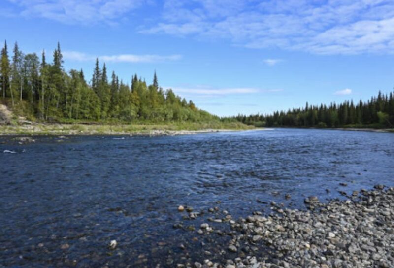Snake River Full-Day Group Fishing Trip - What’s Included and What to Bring