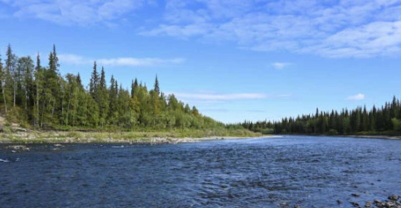 Snake River Full-Day Group Fishing Trip - Who Should Book This Trip?