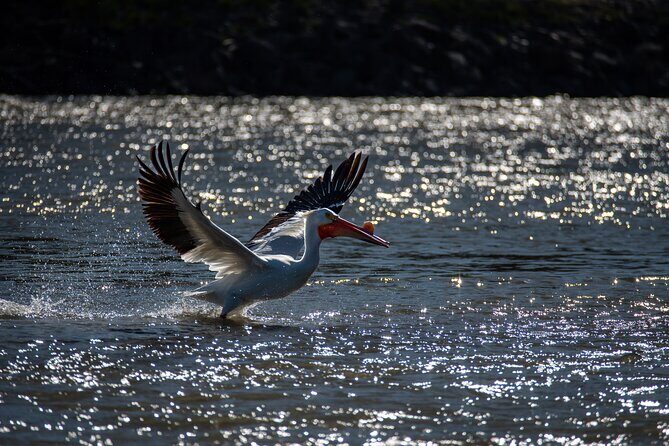 Snake River Scenic Float Private Guided Tour - FAQ