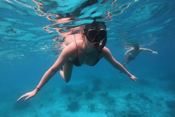 Snorkel Adventure at Bonaire Marine Park - Key Points