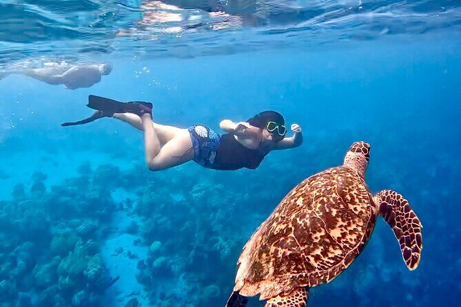 Snorkel Adventure at Bonaire Marine Park - Who Will Love This Tour?
