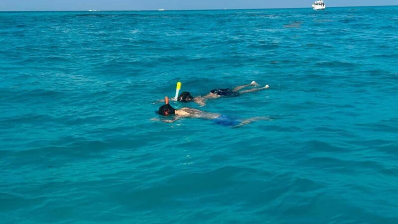 Snorkel Adventure for All Ages in Cancun 2.5 hrs - Discover Cancun’s Calm Waters on a Snorkel Adventure for All Ages