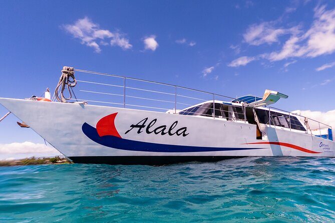 Snorkel Adventure from Kawaihae Harbor - A Deeper Look at the Snorkel Adventure Experience