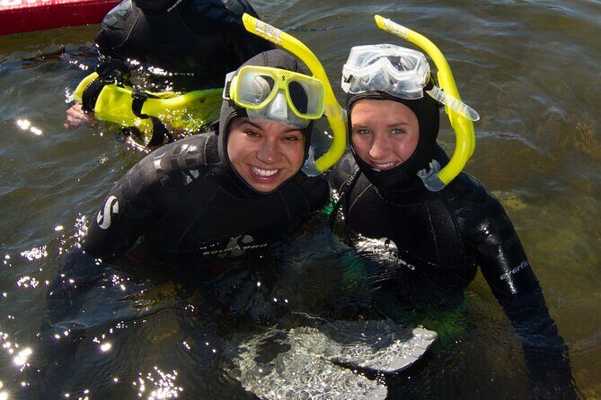 Snorkel Alaska - The Sum Up: Is Snorkel Alaska Worth It?