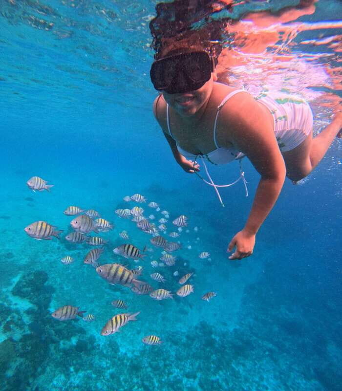 Snorkel along the coast with Chivis Del Mar. - Key Points