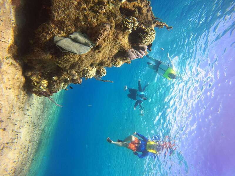 Snorkel along the coast with Chivis Del Mar. - A Closer Look at the Tour Experience