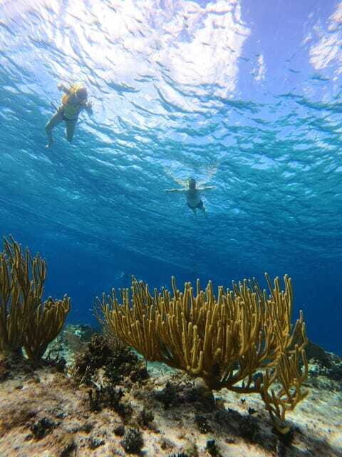 Snorkel along the coast with Chivis Del Mar. - FAQ