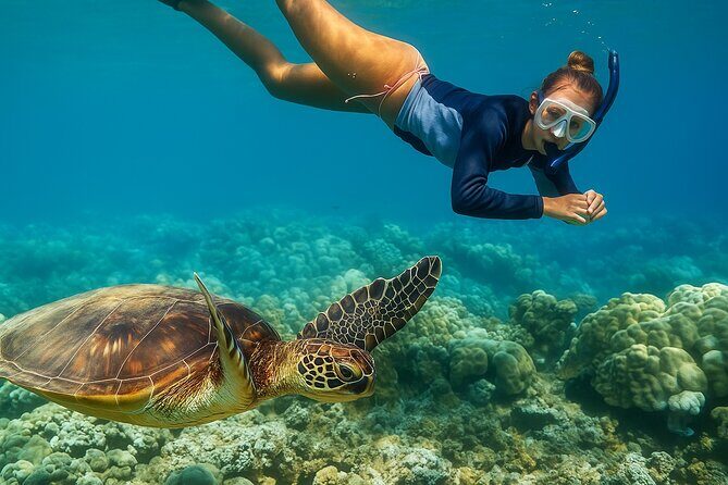 Snorkel and Sunset Cruise from Margaritaville Resort - An Overview of the Experience