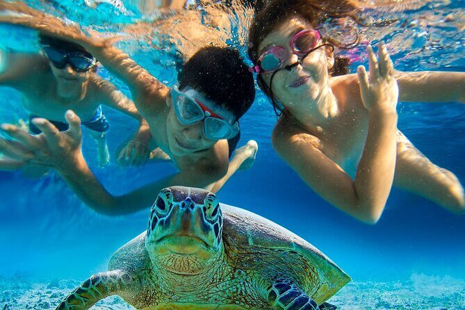 Snorkel and Sunset Cruise from Margaritaville Resort - FAQs