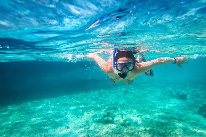 Snorkel and swim in Cozumel el Cielo Reef, Palancar and Colombia - The Guides: Knowledge and Confidence