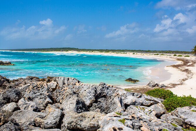 Snorkel and swim in Cozumel el Cielo Reef, Palancar and Colombia - Who Should Consider This Tour?