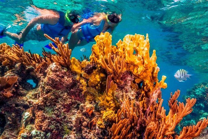 Snorkel and swim in Cozumel el Cielo Reef, Palancar and Colombia - Final Thoughts