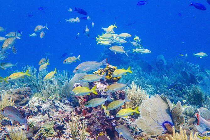 Snorkel at El Farito - The Lighthouse Reservation - What to Expect from the Tour