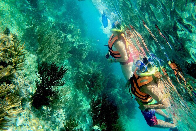 Snorkel at the beautiful Puerto Morelos Reef, Lunch & transport - Unpacking the Itinerary: What to Expect from This Snorkel Tour