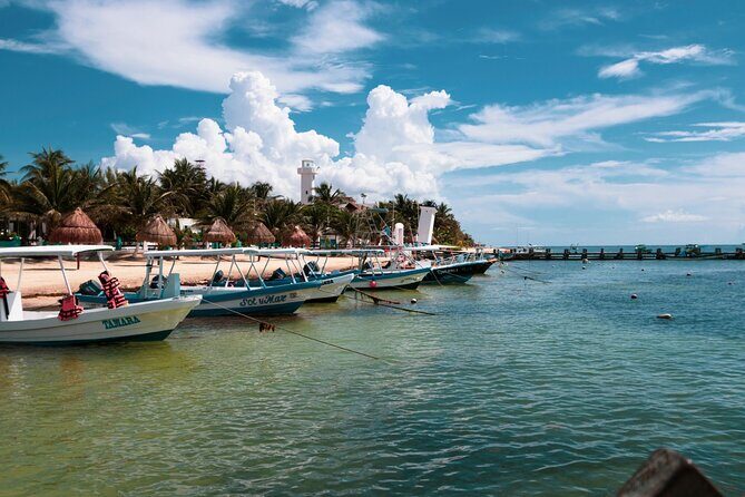 Snorkel at the beautiful Puerto Morelos Reef, Lunch & transport - Who Would Enjoy This Tour?