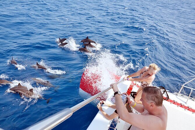 Snorkel at The Dolphin House Adventure In Hurghada - The Itinerary Unpacked