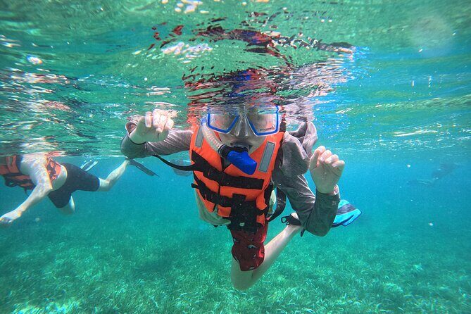 Snorkel at the Reef 2 HOURS Puerto Morelos National park - An In-Depth Look at the Snorkel at the Reef Tour