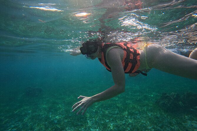 Snorkel at the Reef 2 HOURS Puerto Morelos National park - Final Thoughts: Why Choose This Tour?