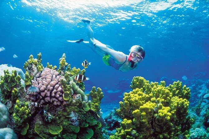 Snorkel, ATV, Zipline and Cenote Adventure from Cancun - The Itinerary: What to Expect from Start to Finish
