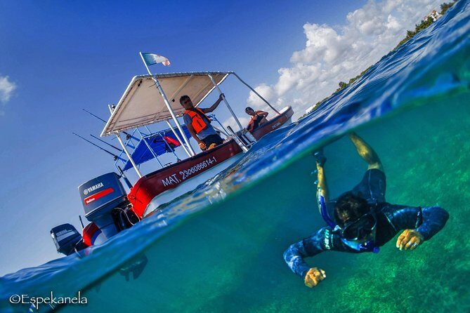 Snorkel boat tour in search of turtles - The Details of the Snorkel Boat Tour in Costa Maya