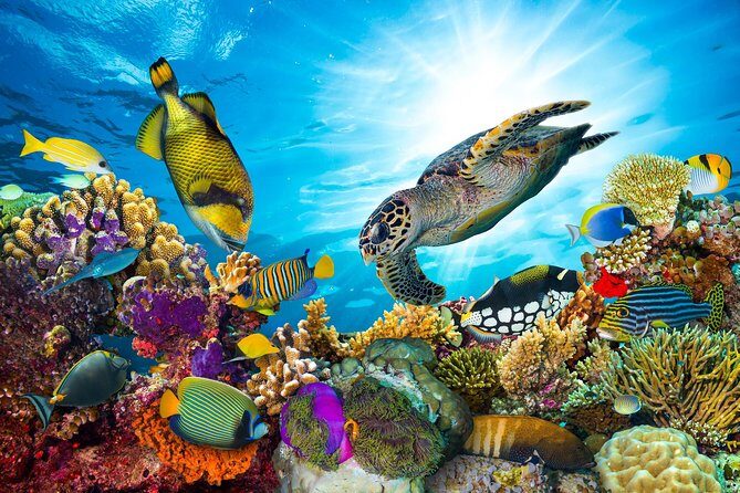 Snorkel Cat All Inclusive Adventure - What You Can Expect from the Snorkel Cat All Inclusive Adventure