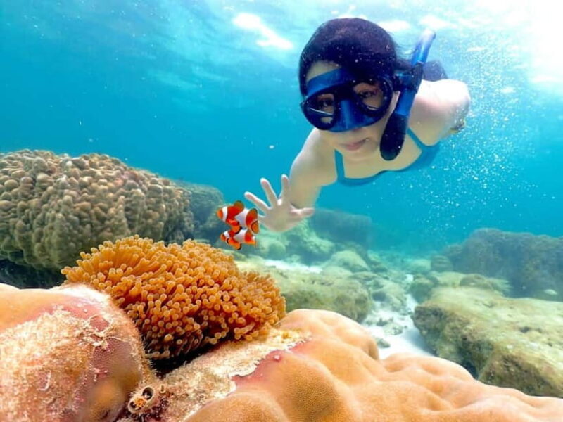 Snorkel & Chill: Nemo Island Trip from Pattaya - Key Points: