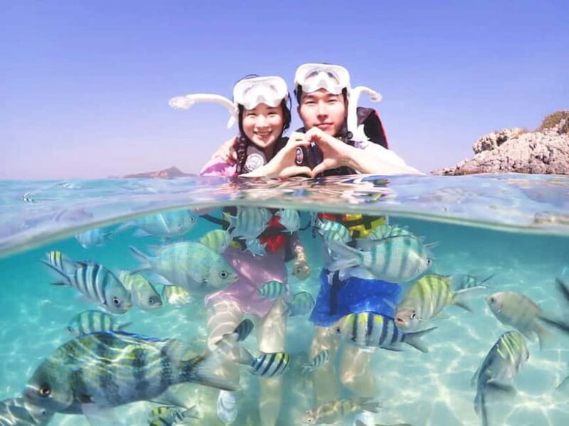 Snorkel & Chill: Nemo Island Trip from Pattaya - Who Will Enjoy This Tour?