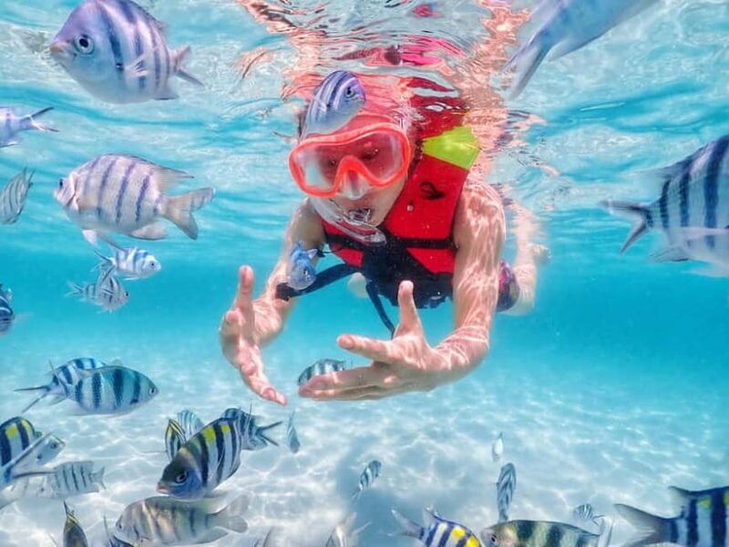 Snorkel & Chill: Nemo Island Trip from Pattaya - Final Thoughts: Is It Worth It?