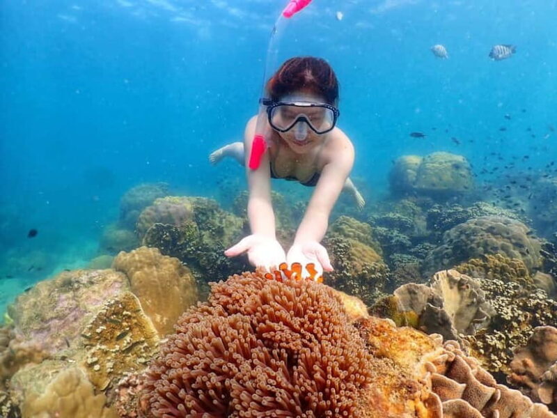 Snorkel & Chill: Nemo Island Trip from Pattaya - FAQ (Frequently Asked Questions)
