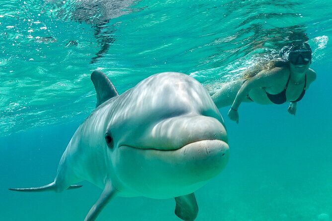 Snorkel Eco Tour - An Honest Look at the Snorkel Eco Tour in Providenciales